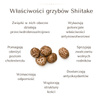 BIO Kawa z Shiitake Ra Hygge średnio mielona do filtrów - ekologiczna, niskokwasowa z ekstraktem Shiitake (227g)